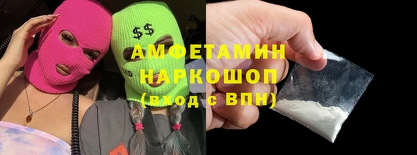 индика Алексин