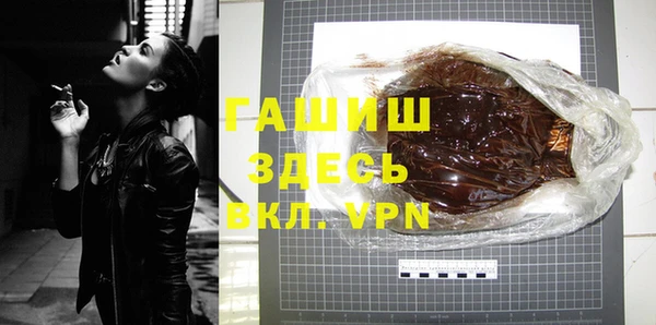 индика Алексин