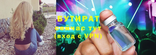 индика Алексин