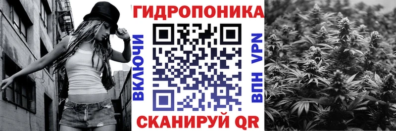 Шишки марихуана семена  Сим 